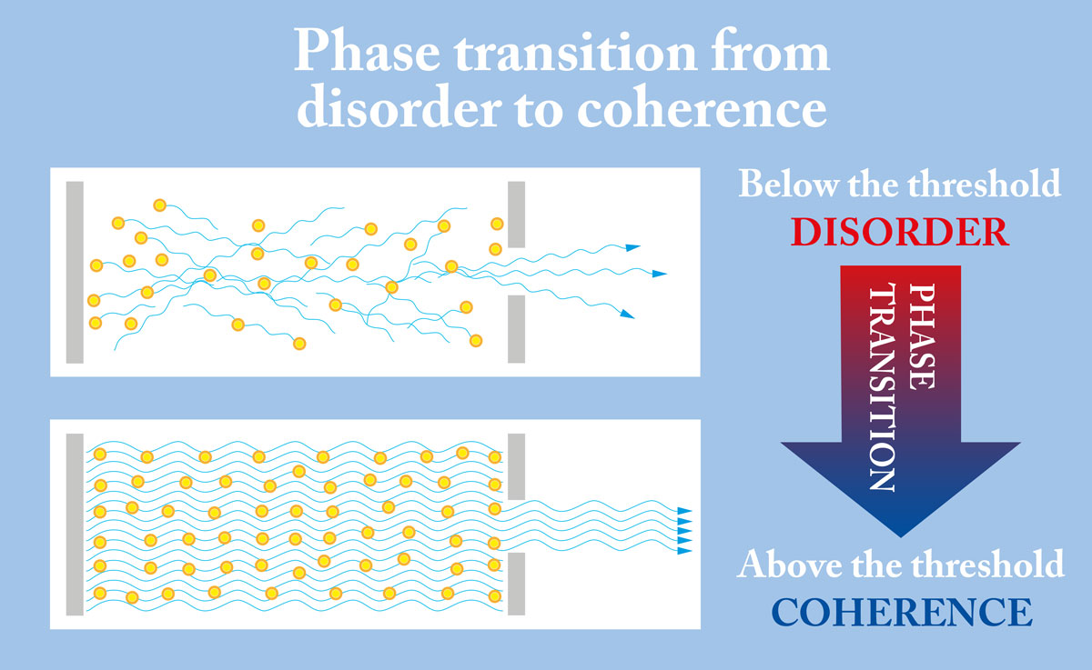 Phase transition from disorder to coherence chart